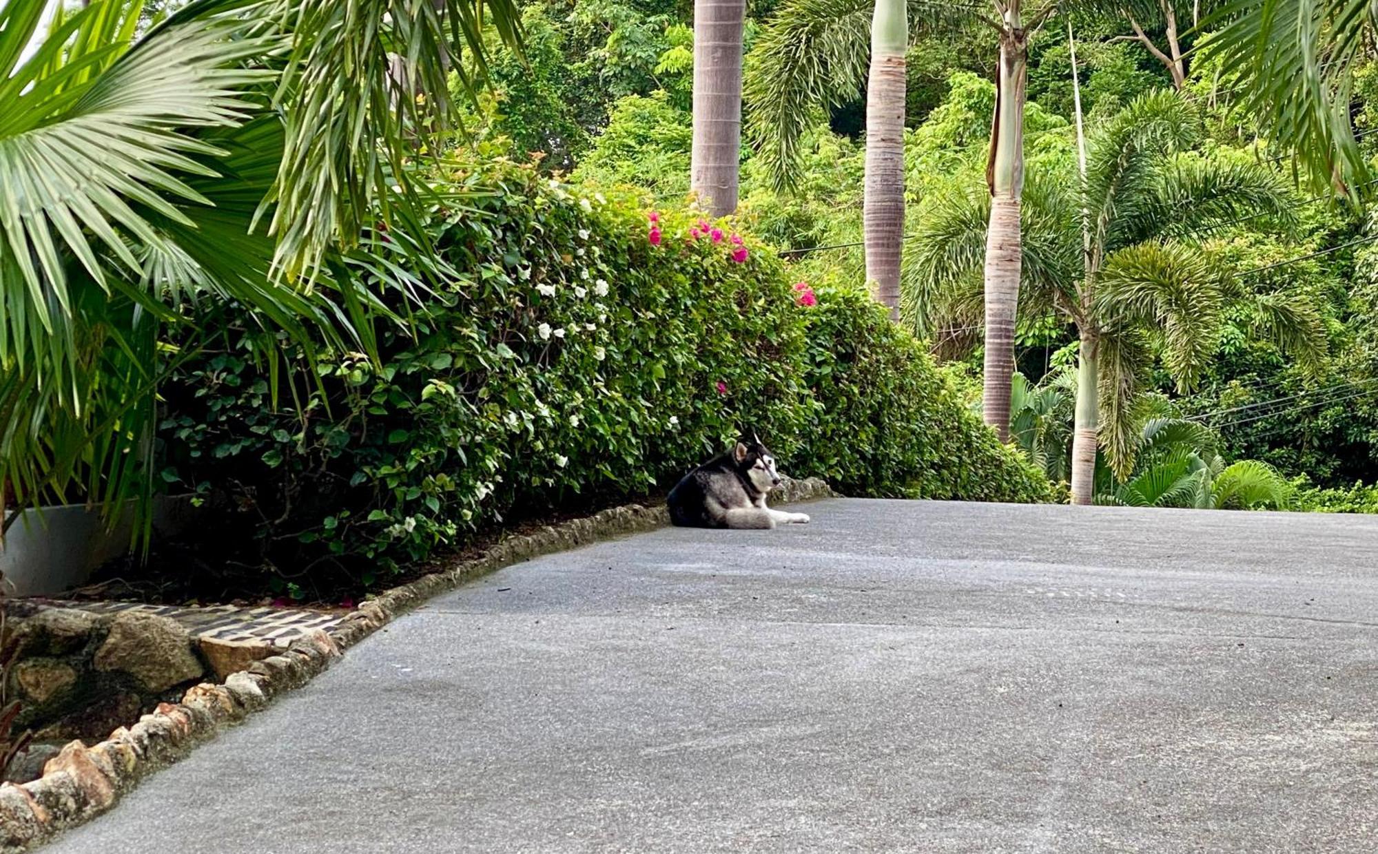 Ko Samui Seaview Pool Villa Seren With Car Laem Set Beach Exteriör bild